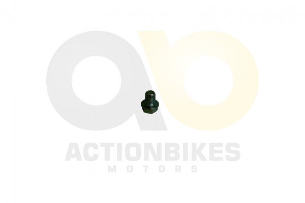 Actionbikes_Shineray_XY250ST_9C_lablassschraube_4A