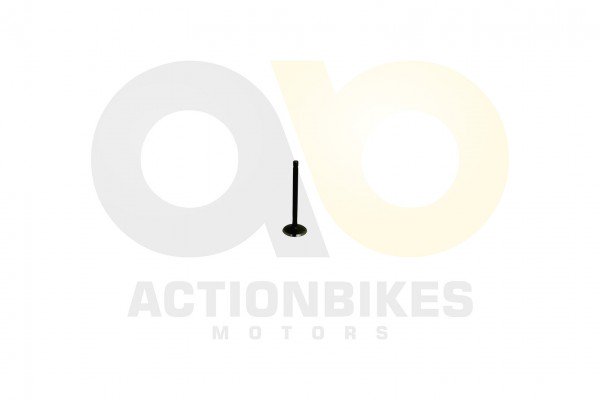 Actionbikes_Dinli_DL801_Auslassventil_453133303031