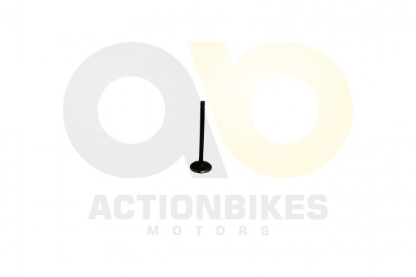 Actionbikes_Shineray_XY250SRMXY250ST_3E_Auslassven