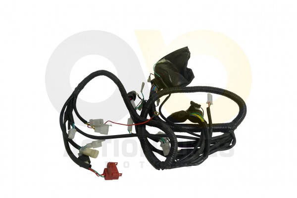 Actionbikes Kabelbaum-Egl-Mad-Max-300 393931313037312D34 01 WZ 1620x1080
