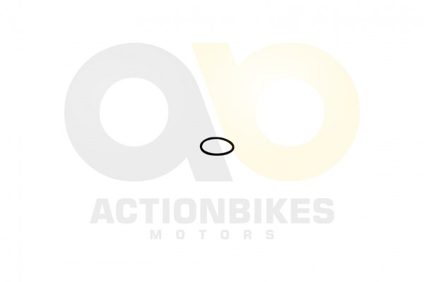 Actionbikes_Shineray_XY250STXE_O_Ring353_fr_Deckel