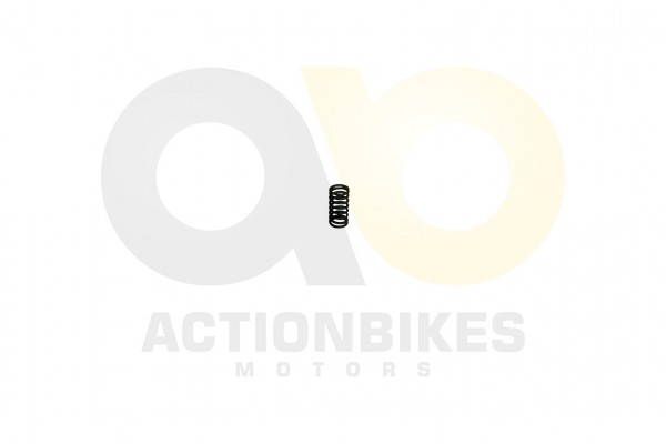 Actionbikes_Feishen_Hunter_600cc_Ventilfeder_innen