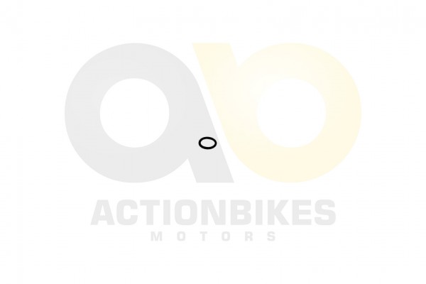 Actionbikes Shineray-XY350ST-EST-2E-Dichtring-Zylinderblock-18x25 39303130312D3230313830303030323530
