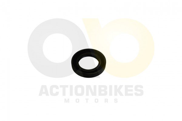 Actionbikes_Simmerring_355610_Getriebeausgang_Antr