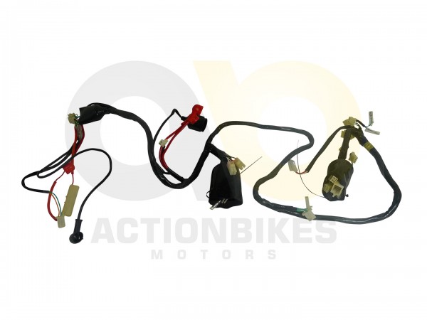 Actionbikes_Znen_ZN50QT_Legend_Kabelbaum_333231303