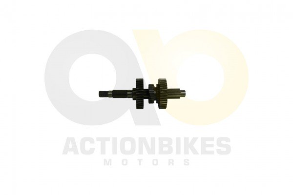 Actionbikes_Dongfang_DF150GK_Getriebeeingangswelle