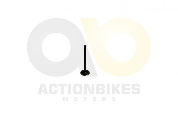 Actionbikes_Speedstar_JLA_931E_Auslaventil_4A4C412