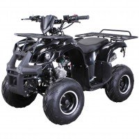 01-jugend-quad-schwarz-actionbikes-motors-s-8-farmer-125-ccm-startbild 01-jugend-quad-schwarz-actionbikes-motors-s-8-farmer-125-ccm-startbild