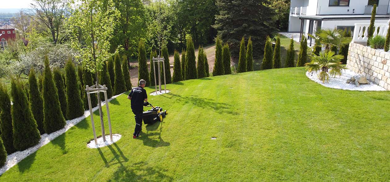 Den Garten mit einem Benzinrasenmäher mähen Trawnik benzynowy Ogród