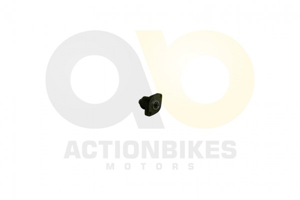 Actionbikes_Dongfang_DF150GK_Steuerkettenspanner_3