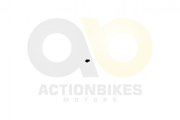 Actionbikes_Dinli_450_DL904_Schmiernippel_46303230