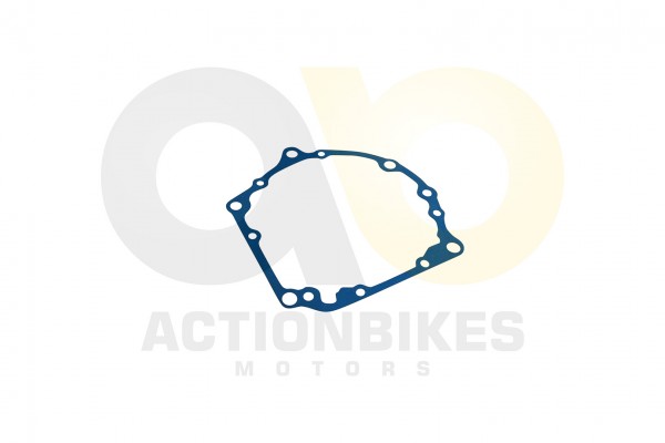 Actionbikes_Feishen_Hunter_600cc_Dichtung_Kupplung