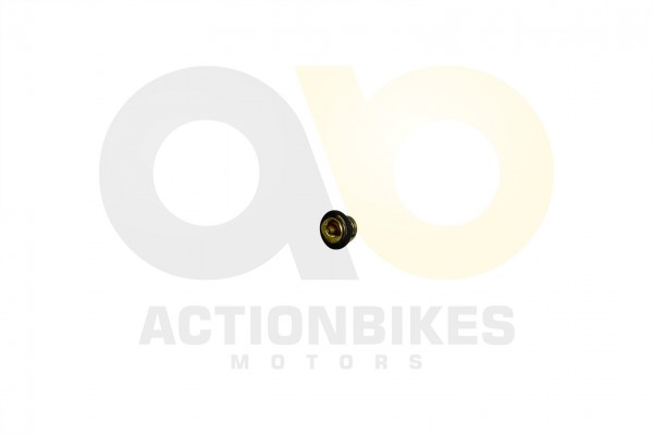 Actionbikes_Dongfang_DF600GKLuck600GK_Thermostat_4