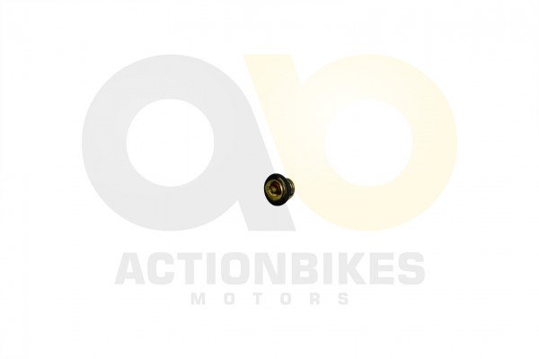 Actionbikes_Dongfang_DF600GKLuck600GK_Thermostat_4