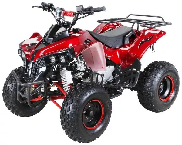 S-10 125cc Quad für Kinder Kinderquad S-10 125cc hier anschauen