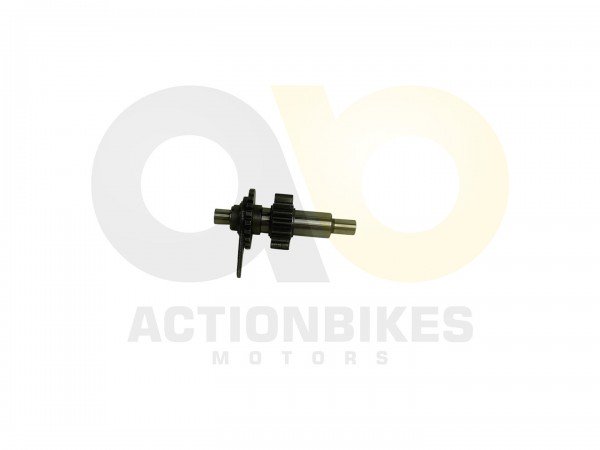 Actionbikes_Shineray_XY250ST_9E_SRM_STIXE_Getriebe
