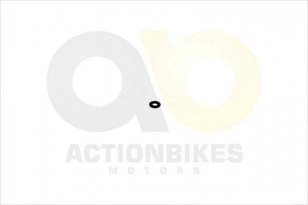 Actionbikes_CF196S_B_Unterlegscheibe_Zylinderkopfs