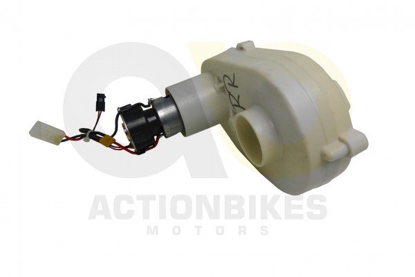 Actionbikes_Elektroauto_Land_Rover_Evoque_81400_Ge