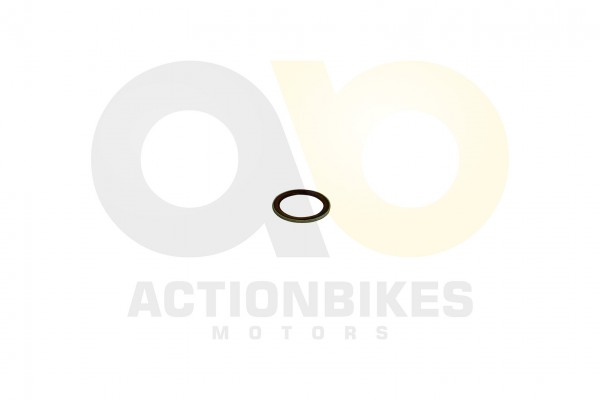 Actionbikes_Xingyue_ATV_400cc_Dichtung_Krmmer_3132