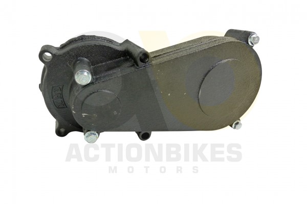 Actionbikes_Miniquad_49cc_Getriebe_mit_Kupplungsgl