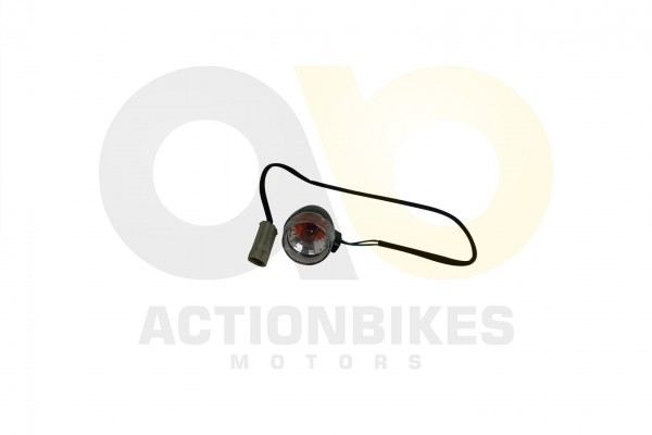 Actionbikes_Renli_KWGK_250DS_Blinker_33333435302D4