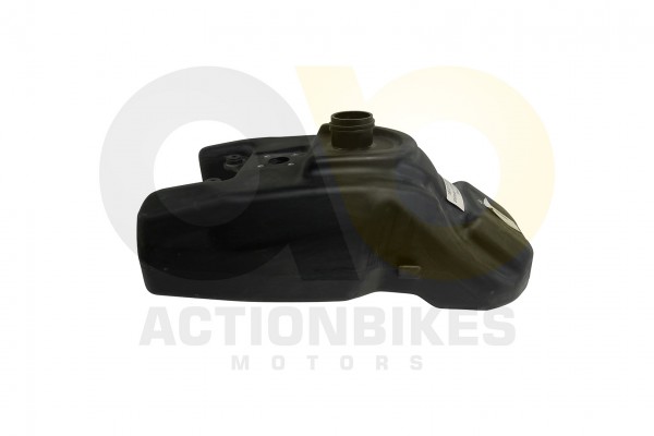 Actionbikes Shineray-XY250SRM-Tank 31363630302D3531362D30303030 01 WZ 1620x1080