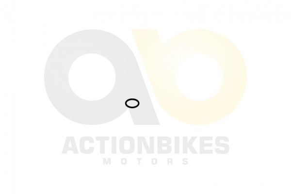 Actionbikes_Shineray_XY250SRM_Dichtring_20_x_25_fr
