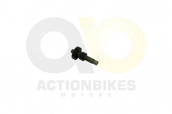 Actionbikes_Motor_260cc_XY170MM_Getriebewelle_Rckw