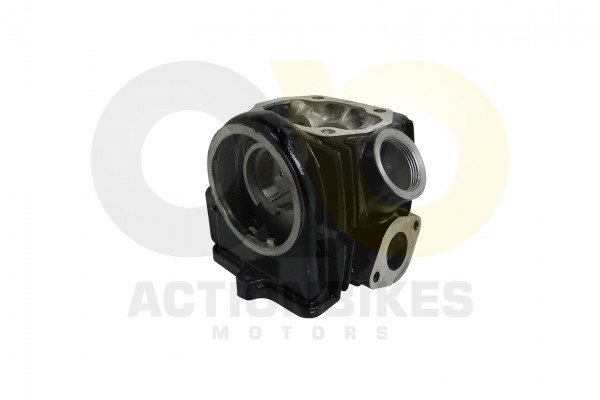 Actionbikes_Jinling_50cc_JL_07A_Zylinderkopf_schwa
