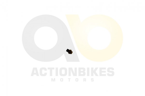 Actionbikes_Jetpower_Motor_E15_700_Thermoschalter_