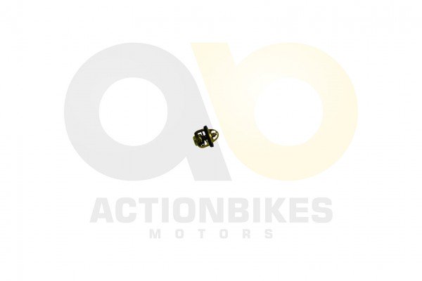 Actionbikes_Motor_250cc_CF172MM_Thermostat_3139333
