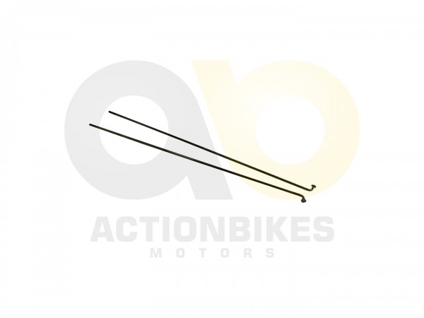 Actionbikes_E_Bike_Fahrrad_Stahl_HS_EBS106_Speiche