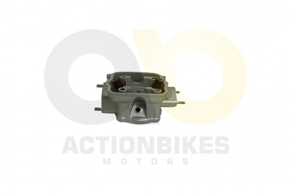 Actionbikes Dinli-DL801-Zylinderkopf-komplett 453133303138342D3030 01 WZ 1620x1080