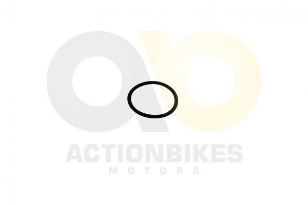 Actionbikes_Jinling_Speedstar_JLA_931E_O_Ring_21x2