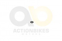 Actionbikes_Shineray_XY250STXE_Zylinderkopf_Unterl Actionbikes_Shineray_XY250STXE_Zylinderkopf_Unterl