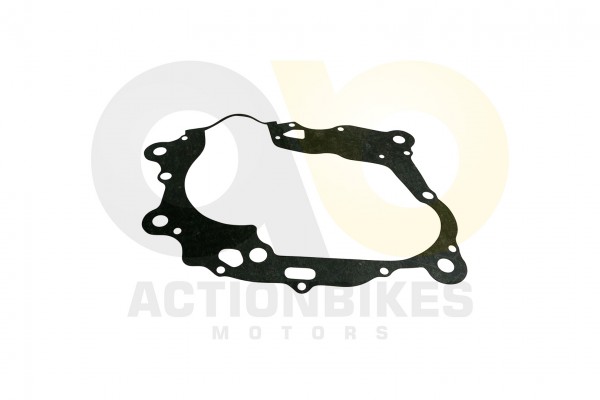 Actionbikes Shineray-XY250SRMXY250ST-3E-Dichtung-Motormitte 31313131392D3131342D30303030 01 WZ 1620x