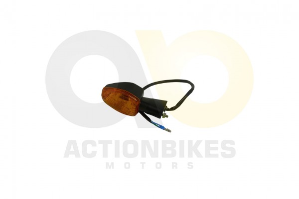 Actionbikes_Shineray_XY250STXE_Blinker_vorn_rechts