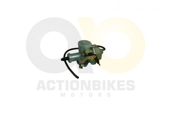 Actionbikes_Shineray_XY250STXE_Vergaser_3136313030