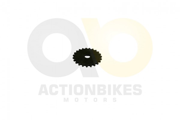 Actionbikes_Shineray_XY150STE_XY200ST_9_Steuerkett56c1c79f12a82