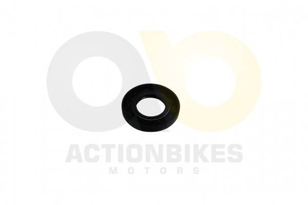 Actionbikes_Simmerring_25558_Buggy_250cc_Motor_172
