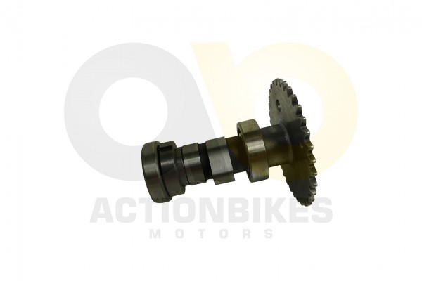 Actionbikes_Shineray_XY150STE_Nockenwelle_4759362D