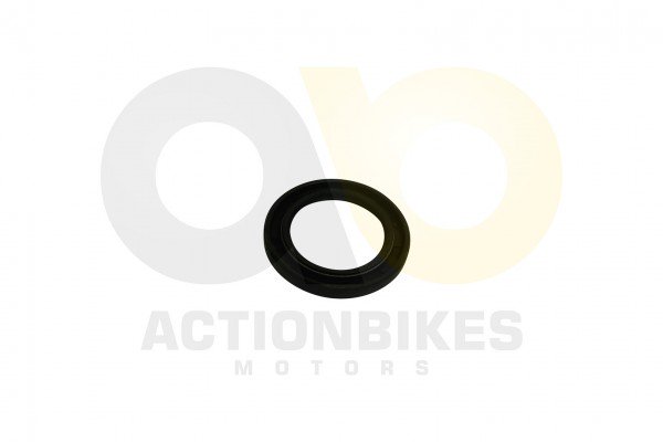 Actionbikes_Simmerring_30455_Kurbelwelle_Variomati