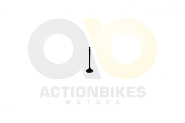 Actionbikes_Feishen_Hunter_600cc_Auslassventil_322