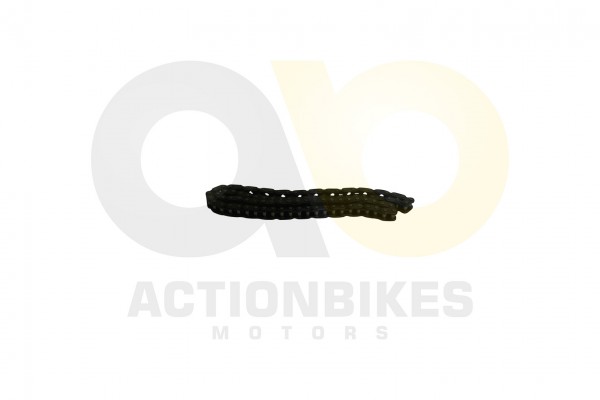 Actionbikes_LJ276M_650_cc_Steuerkette_323730512D30