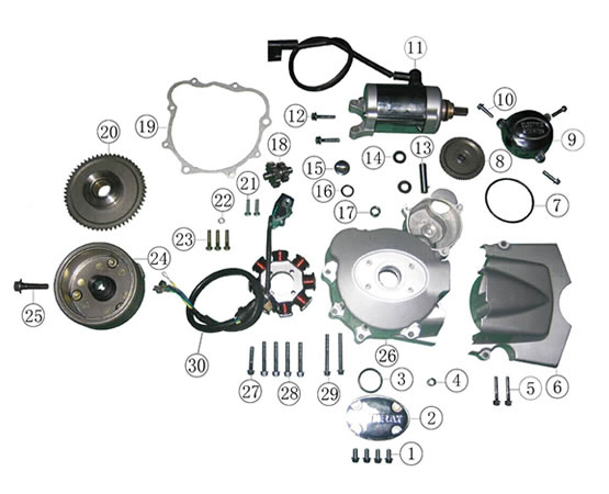 Motor_links_und_Anlasser