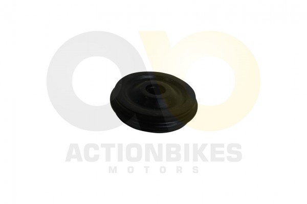 Actionbikes_Jinling_50cc_JL_07A_Steuerkettenrolle_