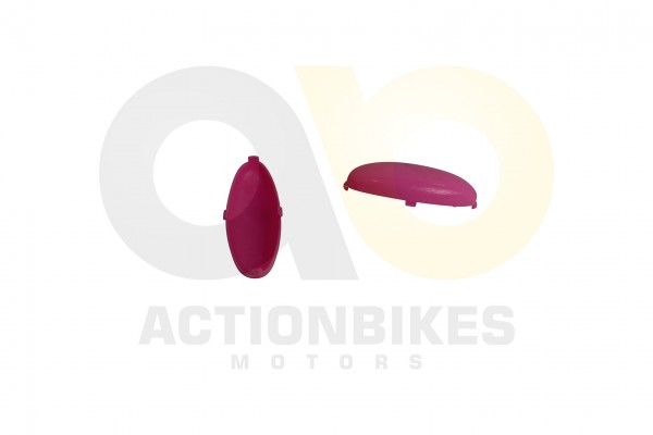 Elektro Motorrad Dreirad Ls 128a Ris Topcaseeinsatz
