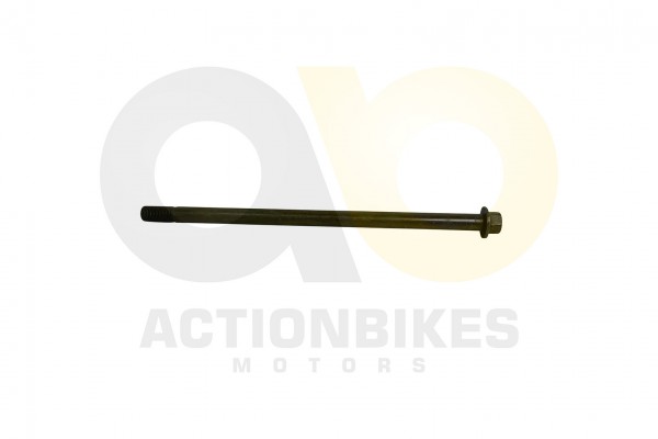 Actionbikes_Lingying_250_203E_Schwingarmschraube_M