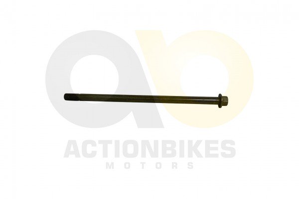 Actionbikes_Lingying_250_203E_Schwingarmschraube_M