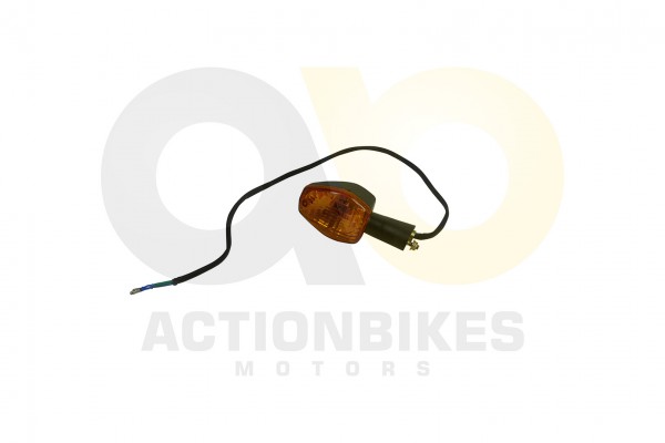 Actionbikes_Shineray_XY250STXE_Blinker_hinten_rech